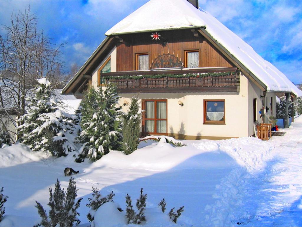 Appartement Beautiful Apartment in P hla Saxony near Ski Area  08340 Pöhla
