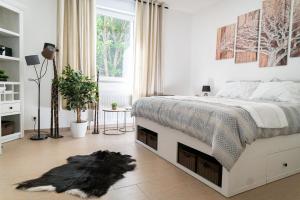 Beautiful Apartment in town centre (TLA/TDY/TLF)