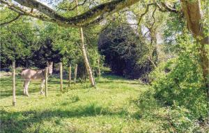 Beautiful apartment in Vasteville with 1 Bedrooms and WiFi