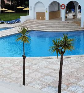 Beautiful Apartment in Vila Rosa