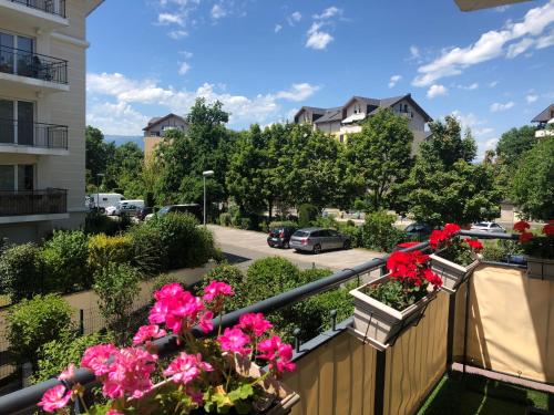 Beautiful Apartment near Geneva