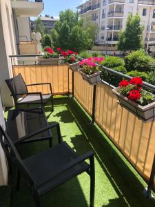 Beautiful Apartment near Geneva