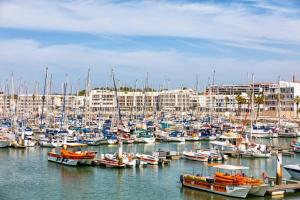 Beautiful Apartment near Historical Center and Beach