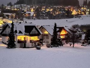 Beautiful apartment with large balcony in Neuastenberg on the ski slope