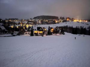 Beautiful apartment with large balcony in Neuastenberg on the ski slope