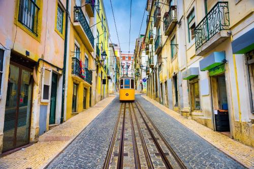 BEAUTIFUL FLATS IN LISBON CENTER
