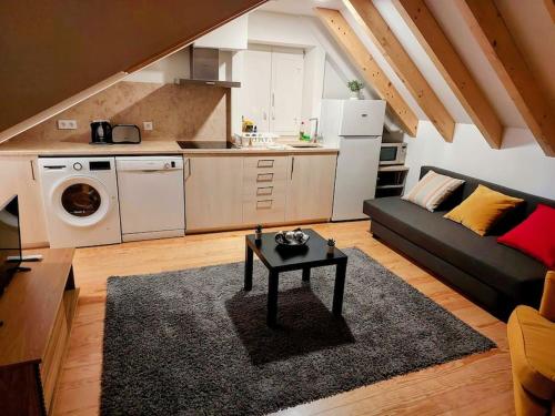 Beautiful Loft in the center