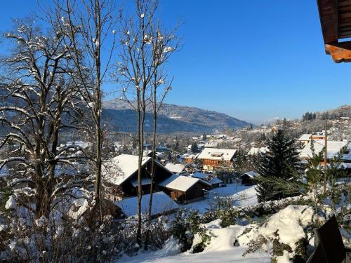 Beautiful new high-end 3 bed apartment, Samoëns