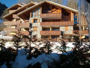 Beautiful south facing chalet