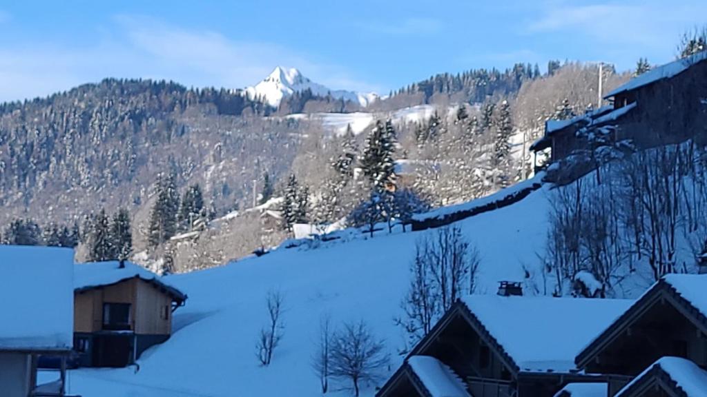 Beautifully styled ski apartment, sleeps 5, in Les Gets B105 635 Route des Grandes Alpes, 74260 Les Gets