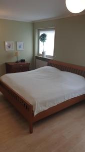 Bed and Pool