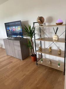 Bel Appartement 59m2 terrasse / wifi / netflix