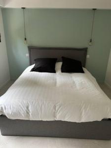 Bel appartement à Cannes vue mer