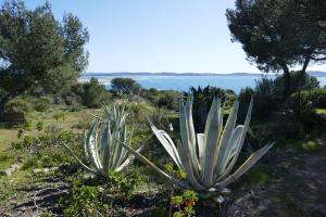 Bel Appartement accès direct mer; L'Almanarre, HYERES