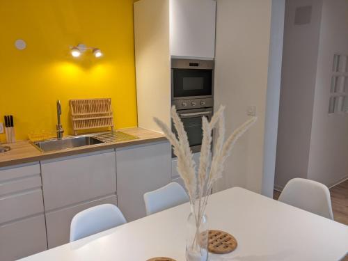 Bel appartement au centre historique de Castres