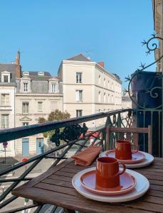 Appartement bel appartement avec balcon en centre ville 30 Rue du Mail 49100 Angers Pays de la Loire