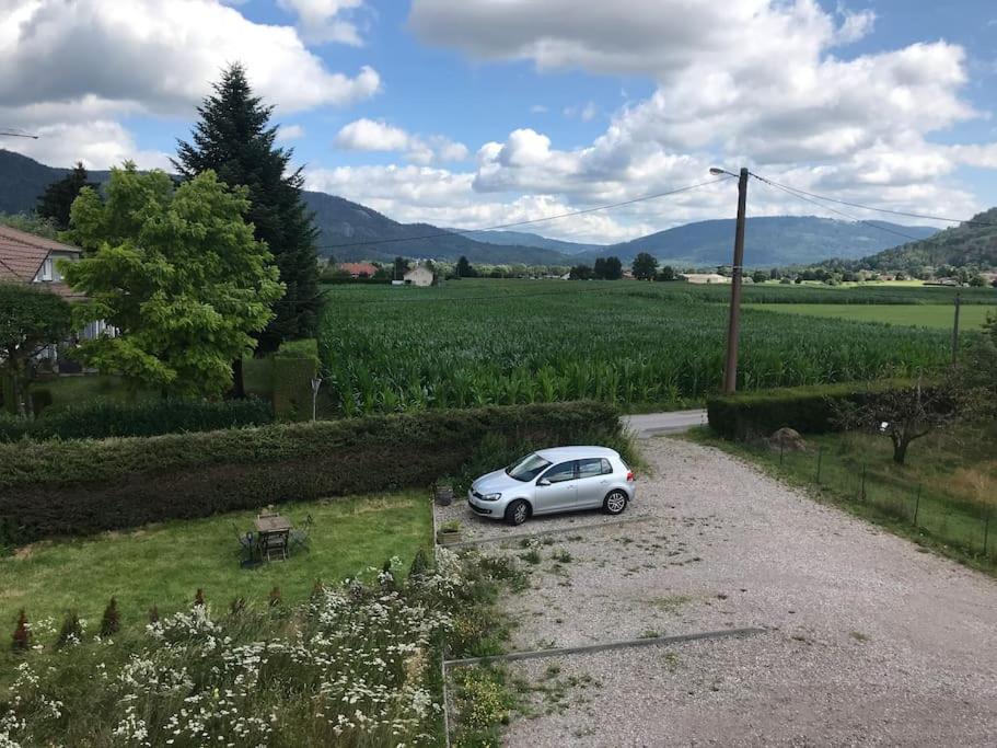 Appartement Bel appartement avec extérieur à la campagne. Étage 1 300 Rue de Pont 88200 Dommartin-lès-Remiremont