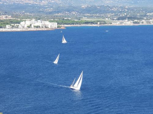 Bel appartement avec vue mer