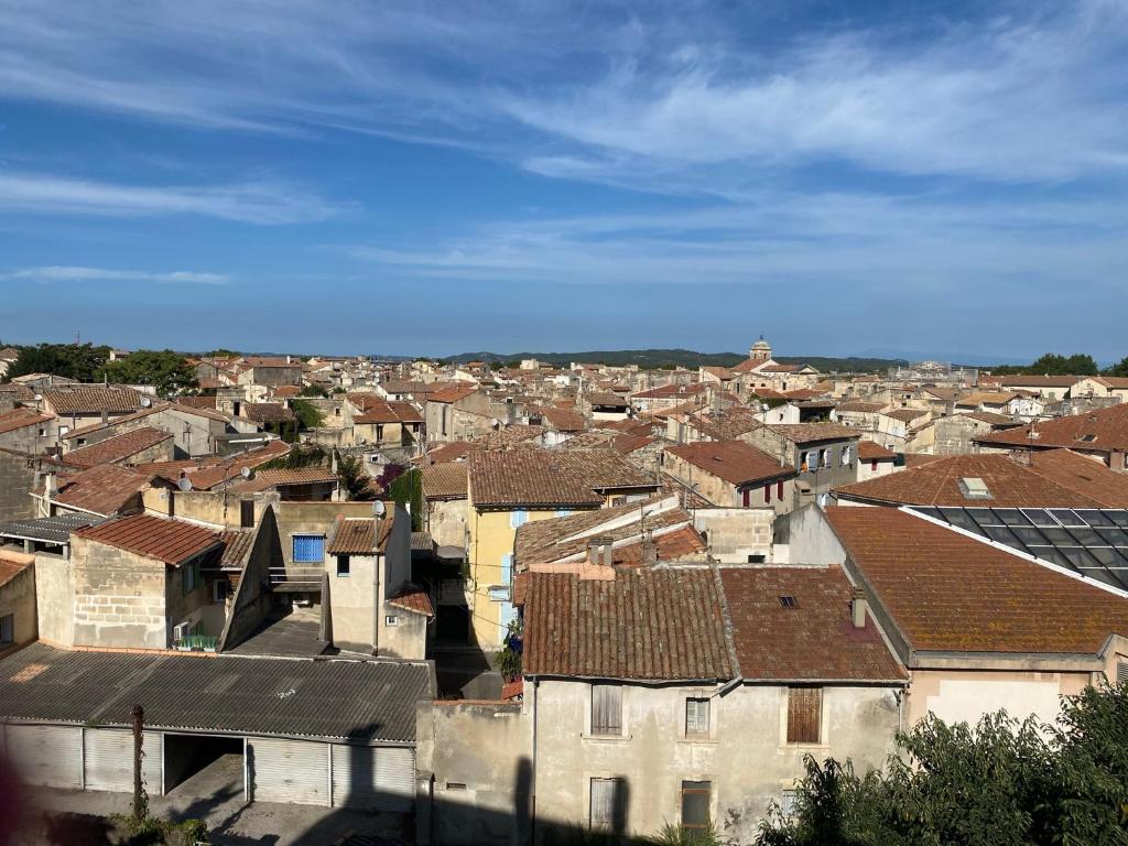 Bel appartement avec vue sur les toits (nouveau) 19 Cours Aristide Briand, 13150 Tarascon