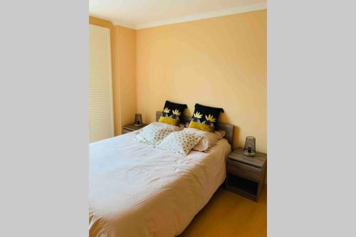 BEL APPARTEMENT CENTRE VILLE