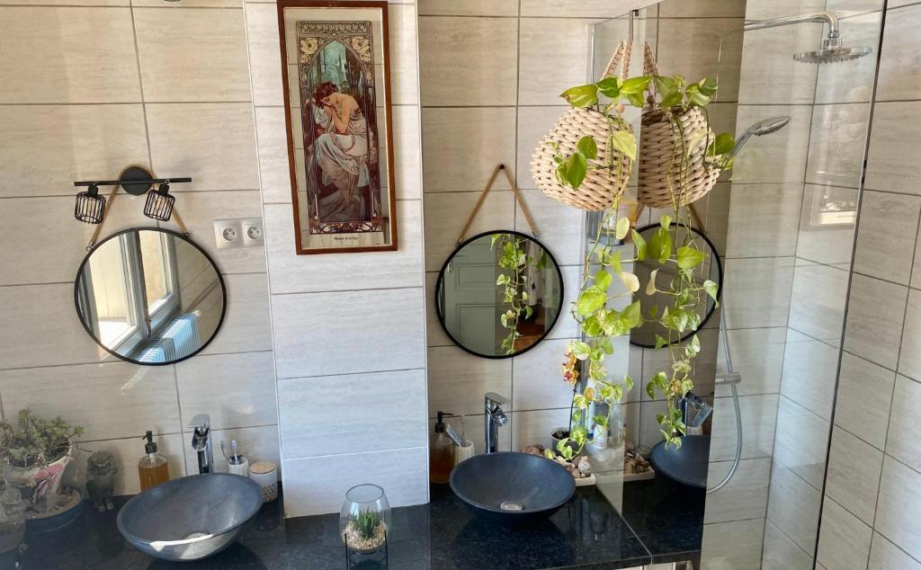 Bel appartement centre ville 27 Rue de la Palissade, 34000 Montpellier