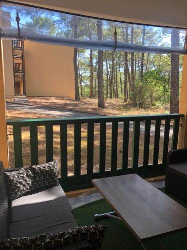 bel appartement classé entre lac et mer en pleine forêt