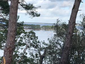 bel appartement classé entre lac et mer en pleine forêt