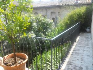 Bel Appartement Dans Cloitre Arbore