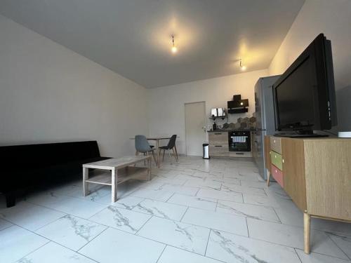 Bel appartement en centre ville de Limoges