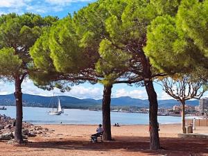 Bel appartement F3 moderne proche marché et mer