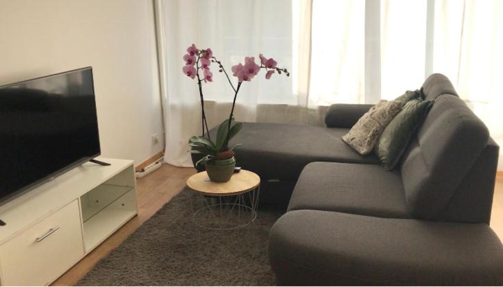 Appartement Bel Appartement near Bâle Mulhouse Airport 82 Rue de Mulhouse 68300 Saint-Louis