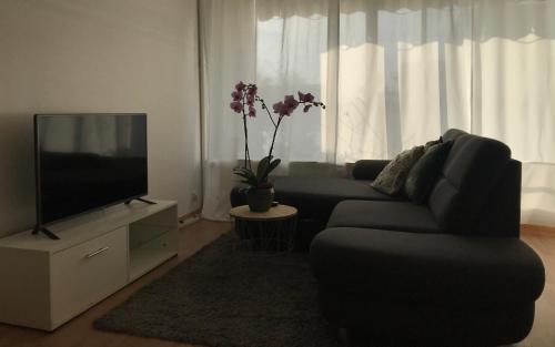 Bel Appartement near Bâle Mulhouse Airport