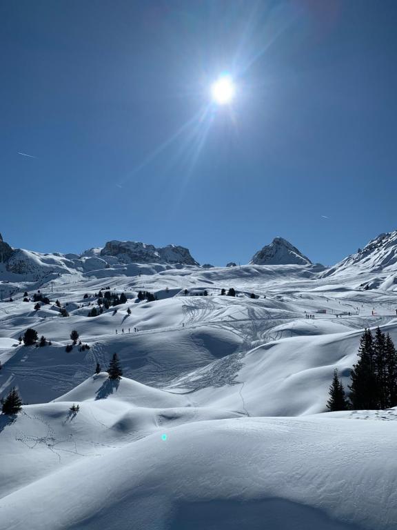 Bel appartement ski aux pieds Plagne Bellecôte Route d'Aime, 73210 Plagne Bellecôte