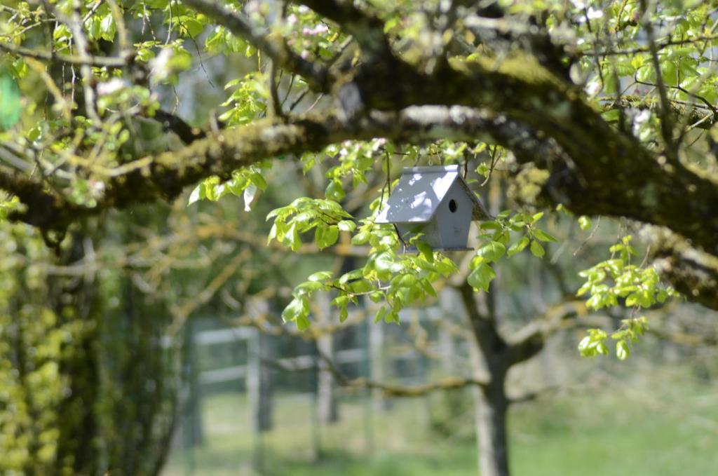 bel appartement , son jardin et le lac 74400 Chamonix-Mont-Blanc
