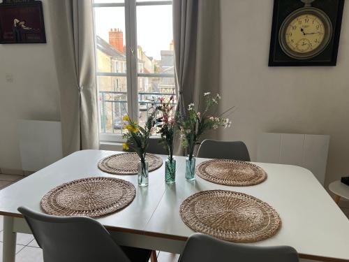 Bel appartement spacieux et lumineux hyper centre Blois