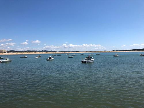 Bela Baia Holiday