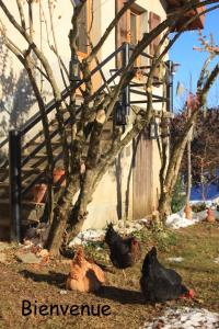 Belladone Guest House theys Les 7 Laux