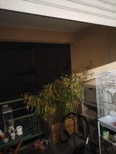Belle appartement 70 M2
