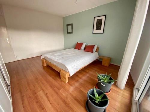 Belle appartement lumineux