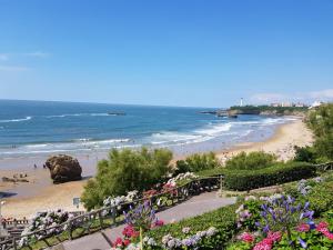 Bellevue 766 Biarritz