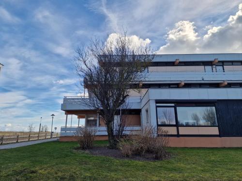 Bellevue Bell-A31