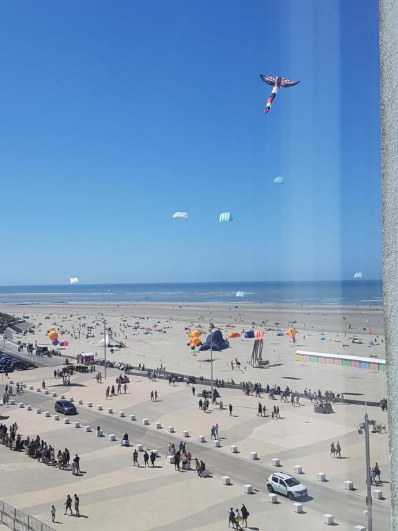 Appartement Berck: front de mer avec vue sur la plage Appartement 49 1 Avenue Francis Tattegrain 62600 Berck-sur-Mer