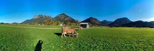 Bergpanorama