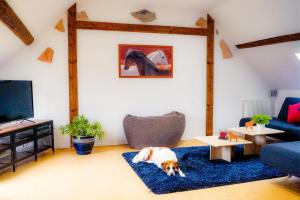 Besondere Ferienwohnung Spirit auf idyllischem Reiterhof nahe Burg Eltz