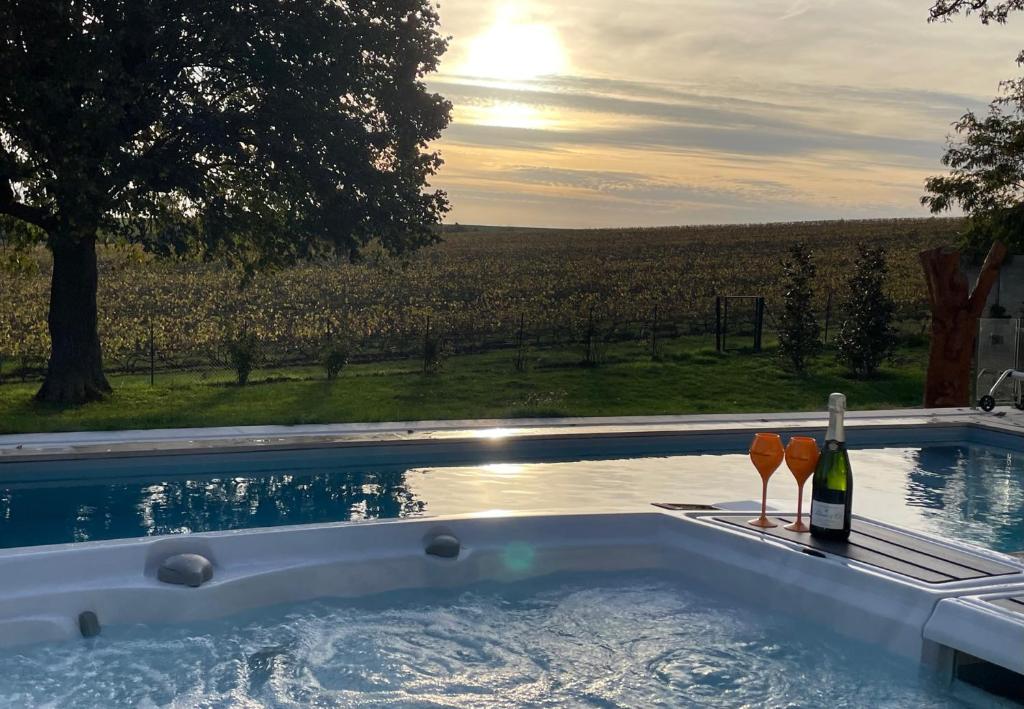 Best view and spa on the Champagne vineyard 8 Allée des Gaillerandes, 51220 Saint-Thierry