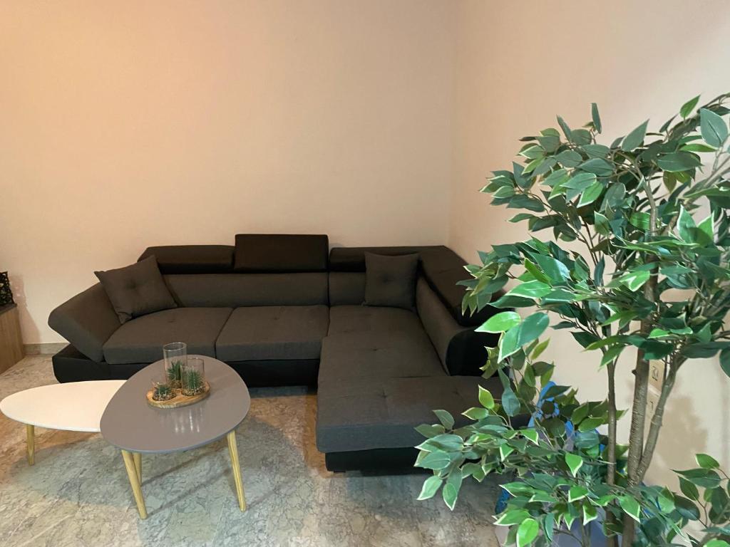 Appartement bien-être residence Le Savigny 66 bd Carnot  4éme étage 06400 Cannes