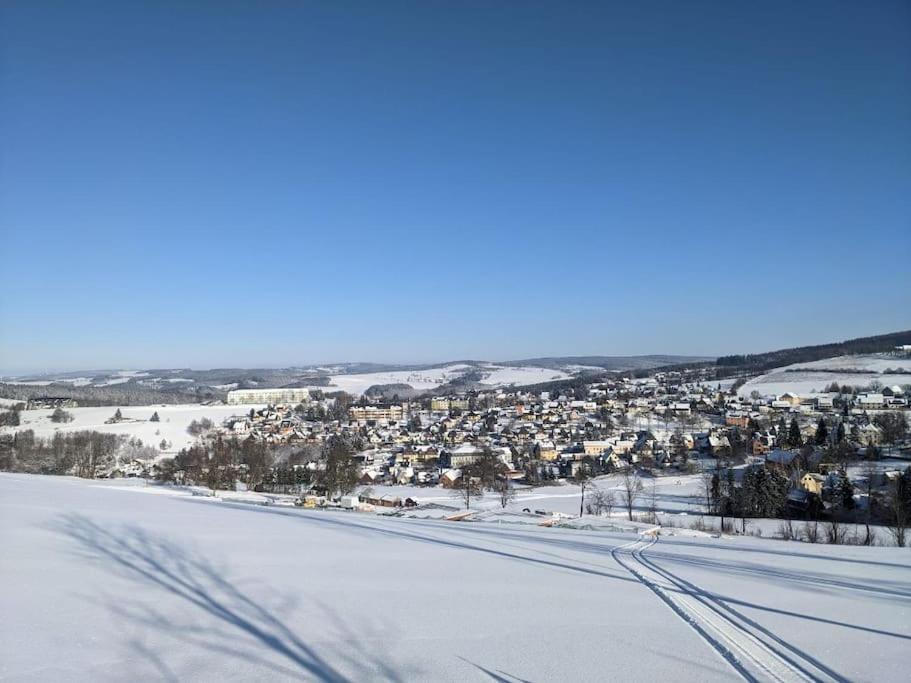 Appartement Bienenstock 10 Am Reicheltberg 09548 Seiffen