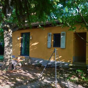 Biggi‘s Garten-Finca