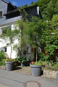 Birgits Landhaus Willingen