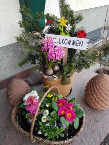 Appartement Bismarckhöhe Tharandt Hangweg 1a Wohnung im Erdgeschoss 01737 Tharandt Saxe